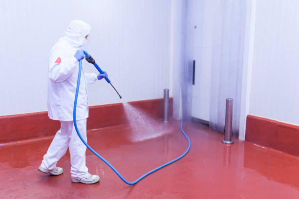 Best Building Exterior Washing  in Midway South, TX
